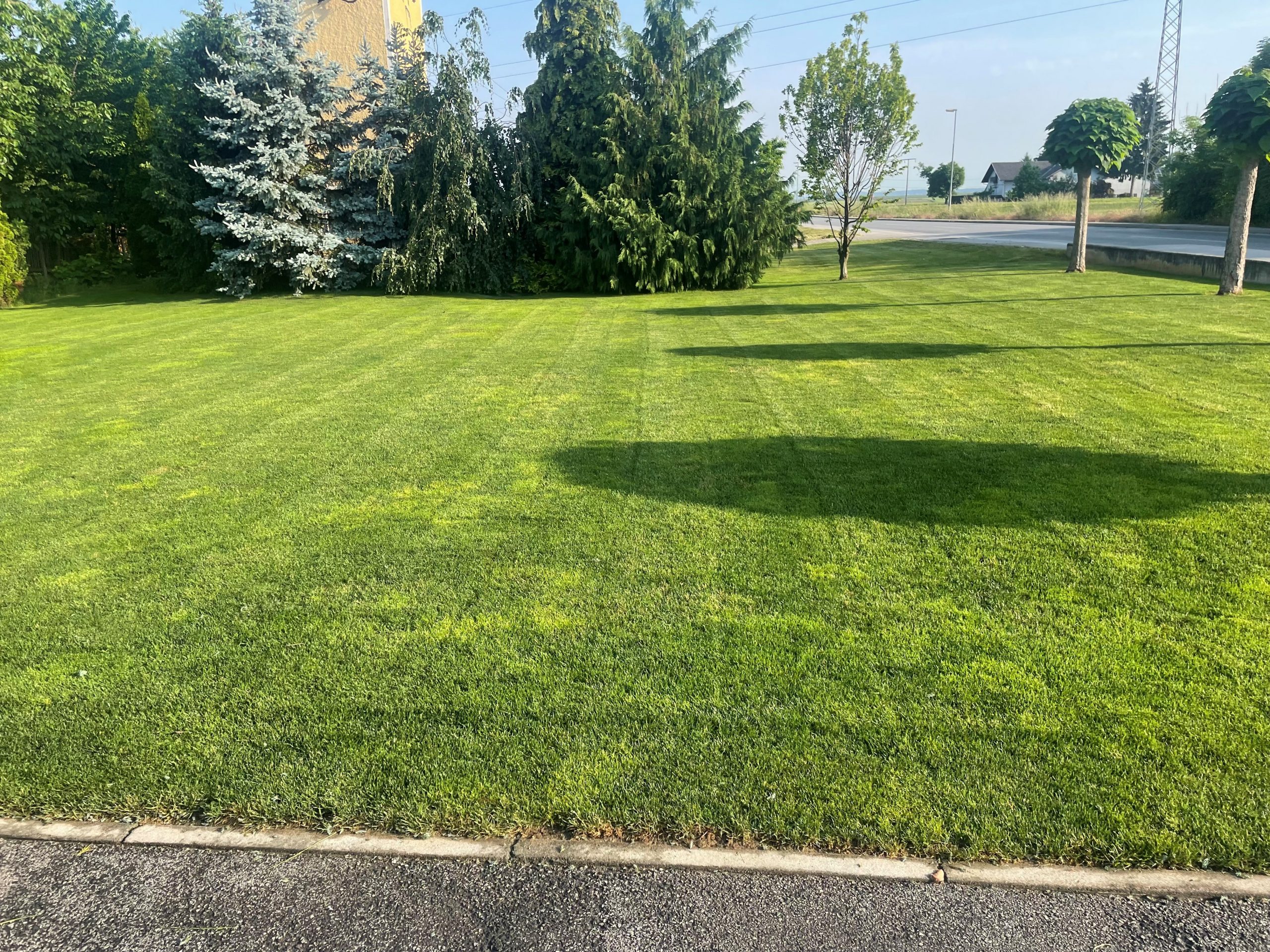 Poletno gnojenje trave