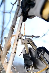 Škarje za vezanje Legafix 19