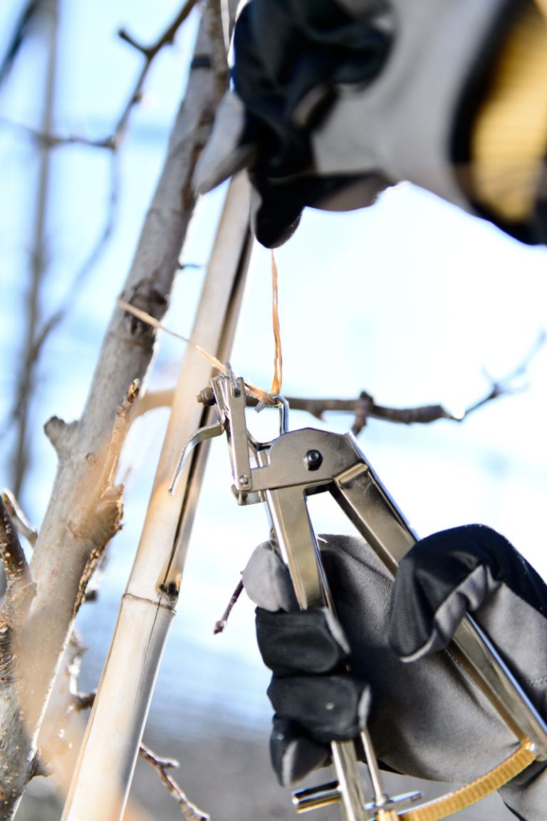 Škarje za vezanje Legafix 19