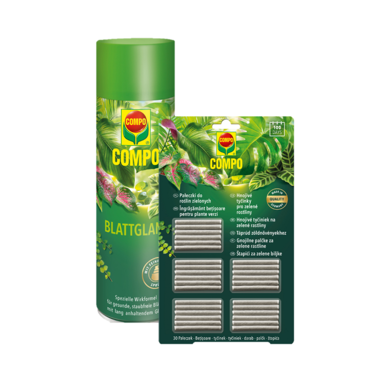 paket nega zelenih rastlin