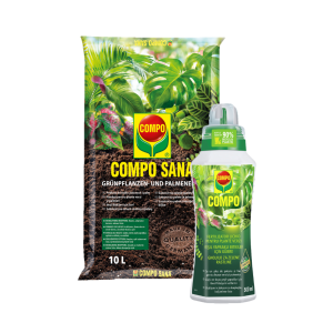 paket presajanje zelenih rastlin