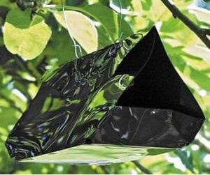 Feromonska vaba - jabolčni zavijač