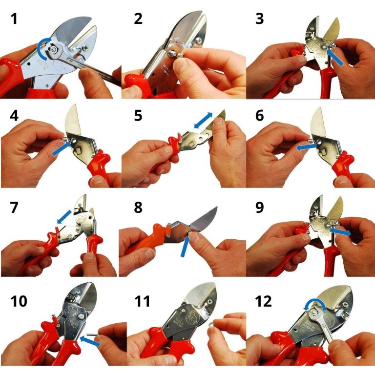 Škarje za obrezovanje Lowe