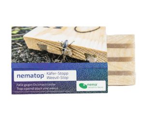 nematop Rilčkar-Stop - hrošč trsnega rilčkarja